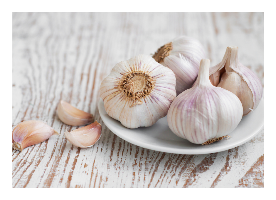 Pylova alergie_cesnek_1